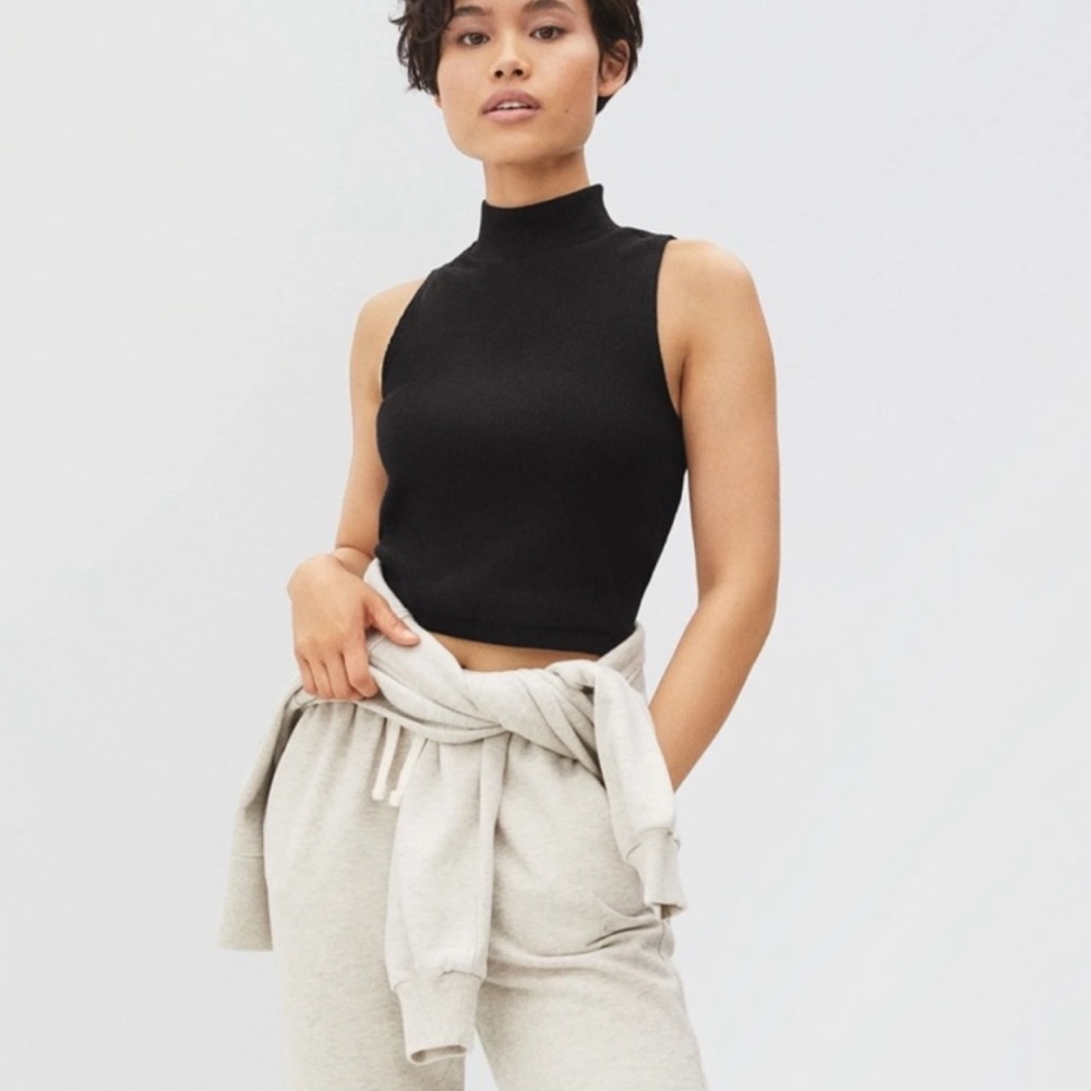 Everlane Black Sleeveless Mock Neck Crop Top